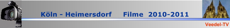 BannerVTV